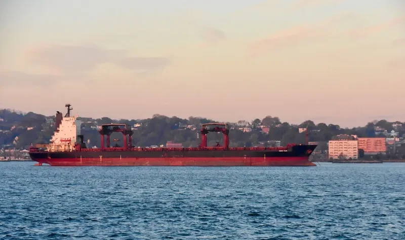 PACIFIC PEARL General Cargo IMO 8512982 photo 3
