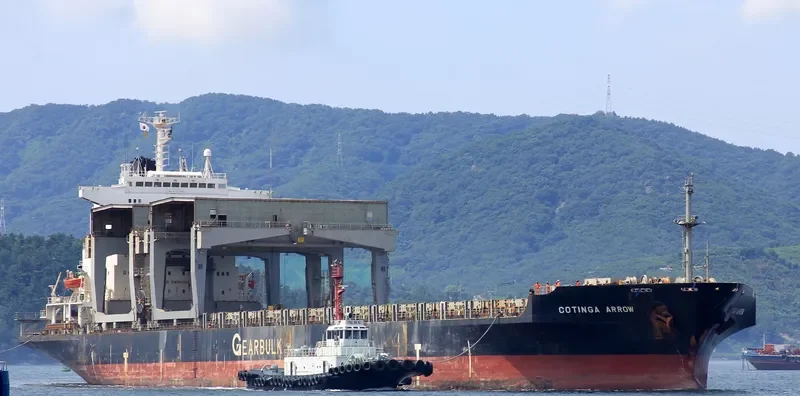 PACIFIC PEARL General Cargo IMO 8512982 photo 7