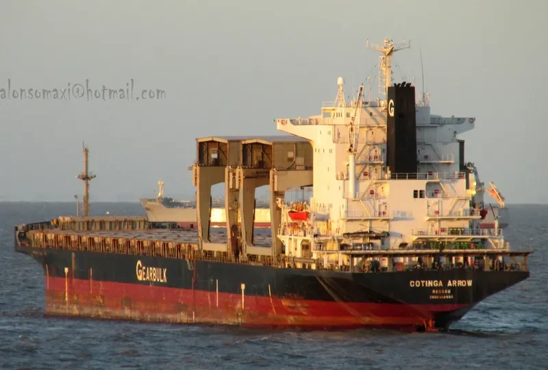 PACIFIC PEARL General Cargo IMO 8512982 photo 8