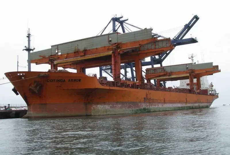 PACIFIC PEARL General Cargo IMO 8512982 photo 9