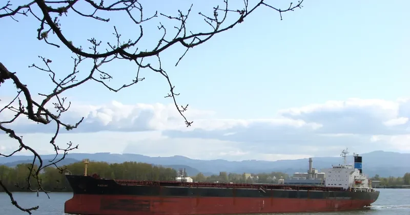 KAGHAN Bulk Carrier IMO 8513015 photo 2
