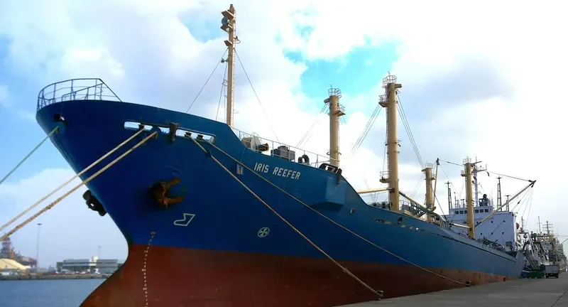 IRIS REEFER General Cargo IMO 8513039