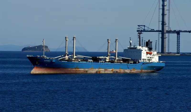 IRIS REEFER General Cargo IMO 8513039 photo 4