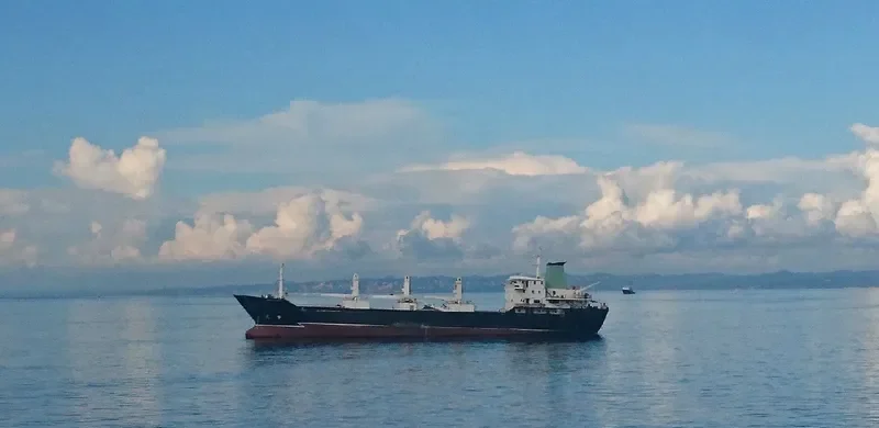 FRIO FIDELIS General Cargo IMO 8513285