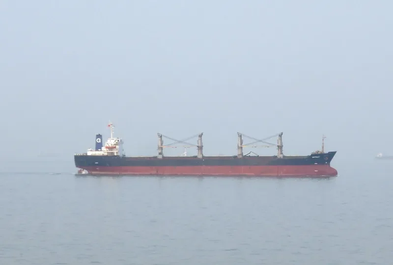 NIAMUL MOWLA Bulk Carrier IMO 8513429 photo 3
