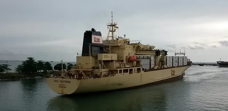 DOLE CALIFORNIA Container Ship IMO 8513467