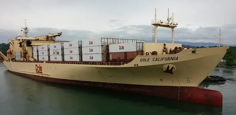 DOLE CALIFORNIA Container Ship IMO 8513467 photo 2