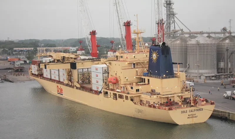 DOLE CALIFORNIA Container Ship IMO 8513467 photo 3