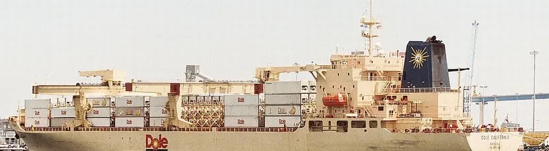 DOLE CALIFORNIA Container Ship IMO 8513467 photo 5
