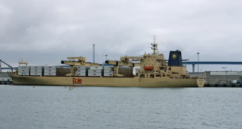 DOLE CALIFORNIA Container Ship IMO 8513467 photo 6