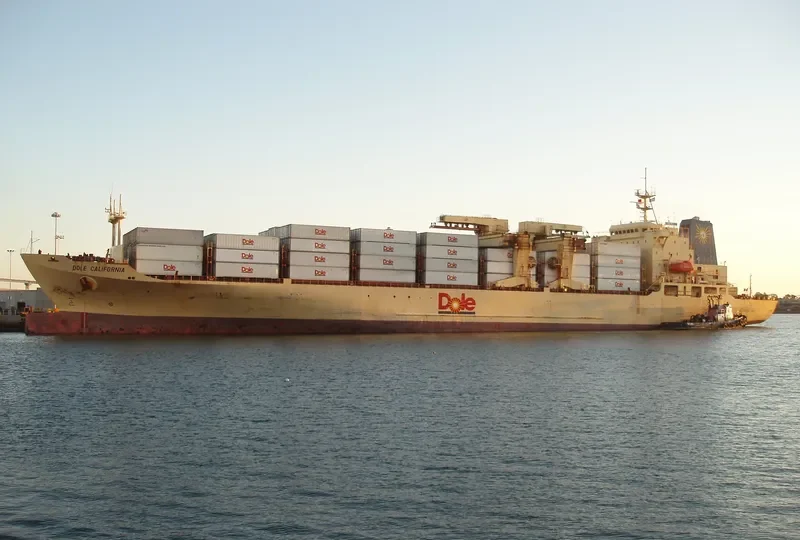 DOLE CALIFORNIA Container Ship IMO 8513467 photo 7