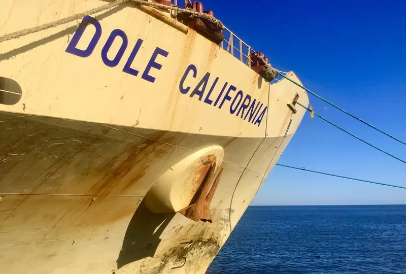DOLE CALIFORNIA Container Ship IMO 8513467 photo 9