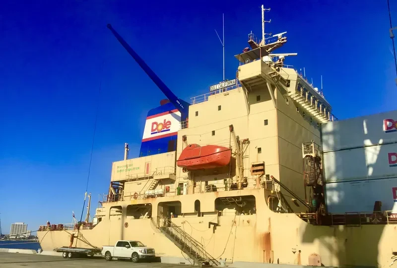 DOLE CALIFORNIA Container Ship IMO 8513467 photo 10