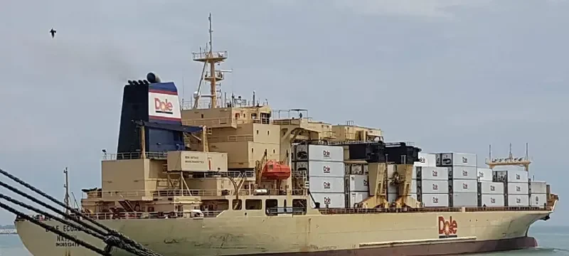 DOLE ECUADOR Container Ship IMO 8513479