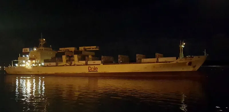 DOLE ECUADOR Container Ship IMO 8513479 photo 2