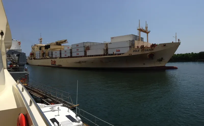 DOLE ECUADOR Container Ship IMO 8513479 photo 3