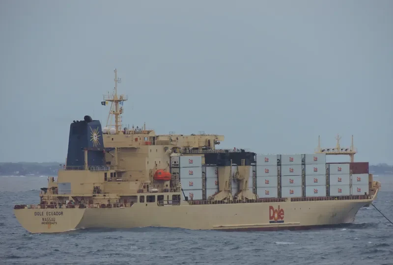 DOLE ECUADOR Container Ship IMO 8513479 photo 4