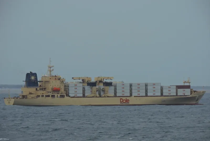 DOLE ECUADOR Container Ship IMO 8513479 photo 5