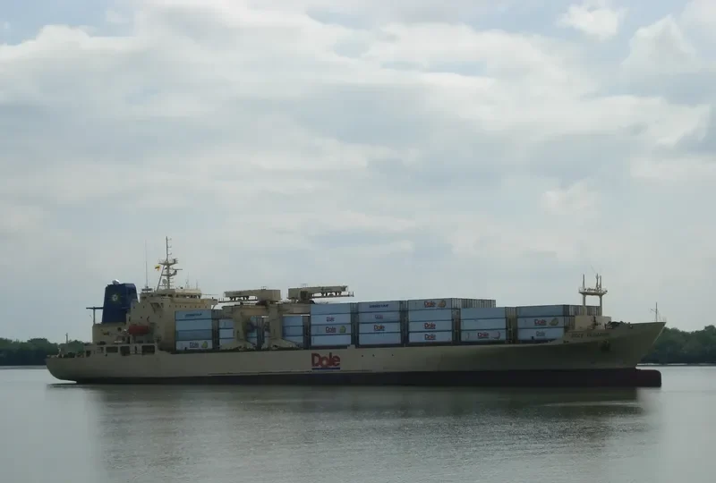 DOLE ECUADOR Container Ship IMO 8513479 photo 6