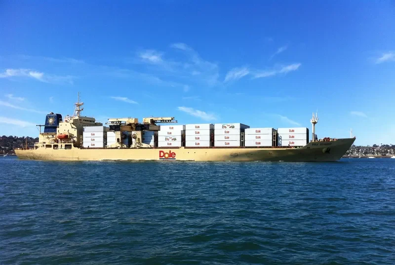 DOLE ECUADOR Container Ship IMO 8513479 photo 7