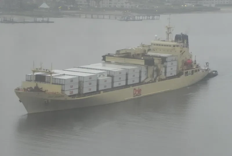 DOLE ECUADOR Container Ship IMO 8513479 photo 8