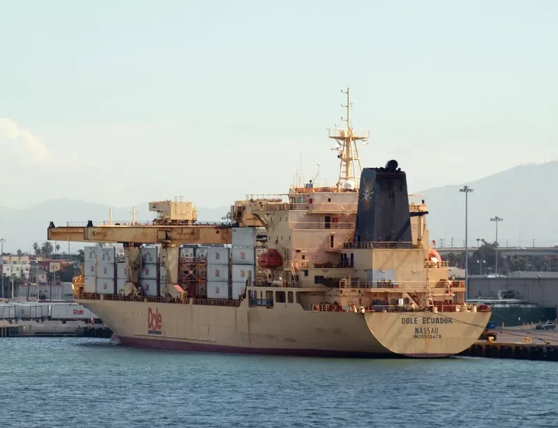 DOLE ECUADOR Container Ship IMO 8513479 photo 9
