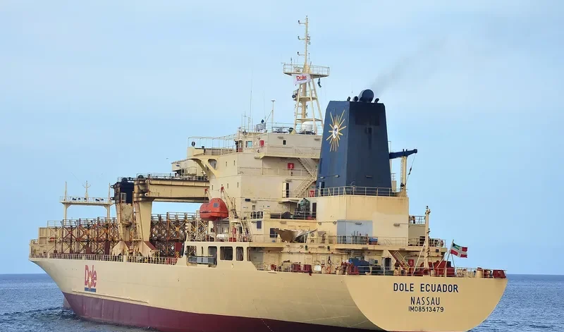 DOLE ECUADOR Container Ship IMO 8513479 photo 10