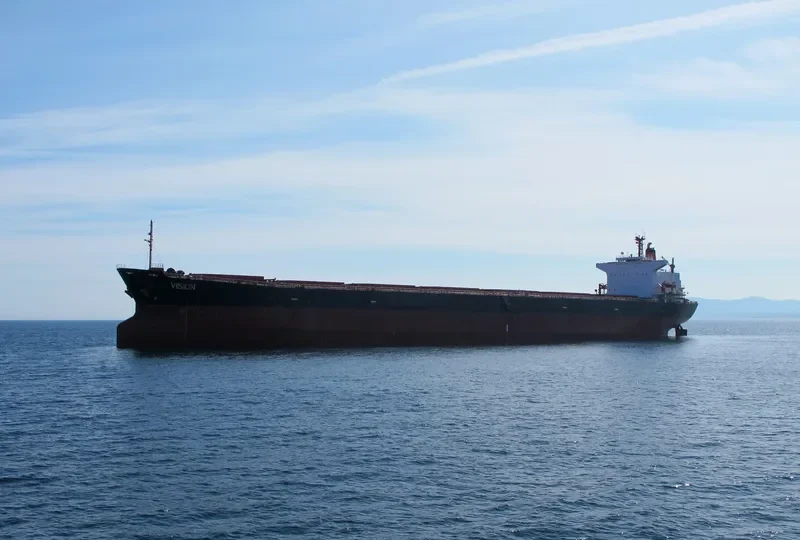 VISION Bulk Carrier IMO 8514239 photo 16