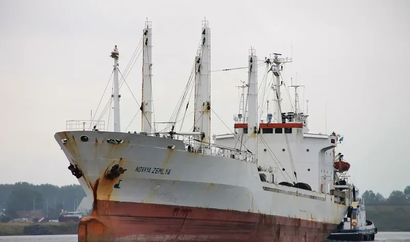 NOVAYA ZEMLYA General Cargo IMO 8514796 photo 4
