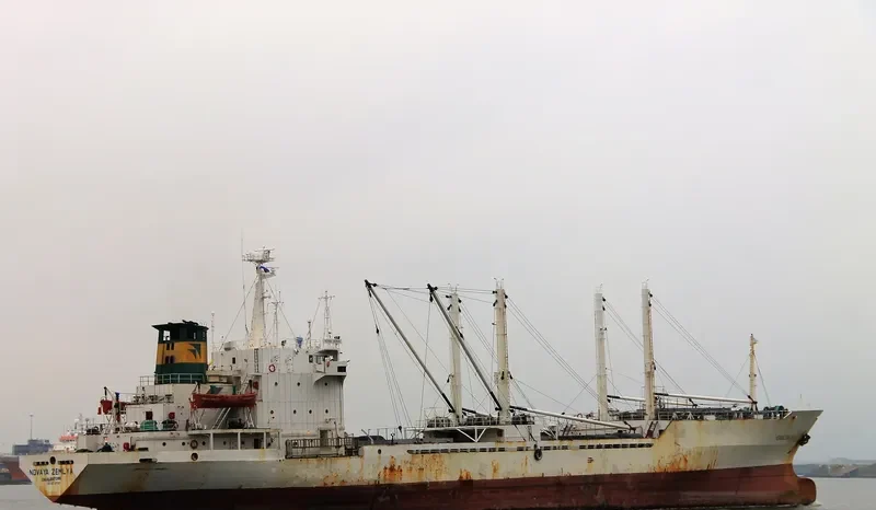 NOVAYA ZEMLYA General Cargo IMO 8514796 photo 6