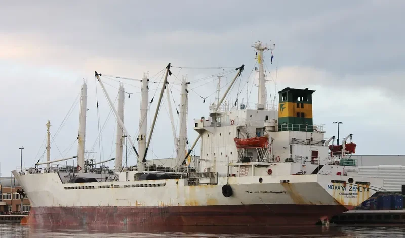 NOVAYA ZEMLYA General Cargo IMO 8514796 photo 8