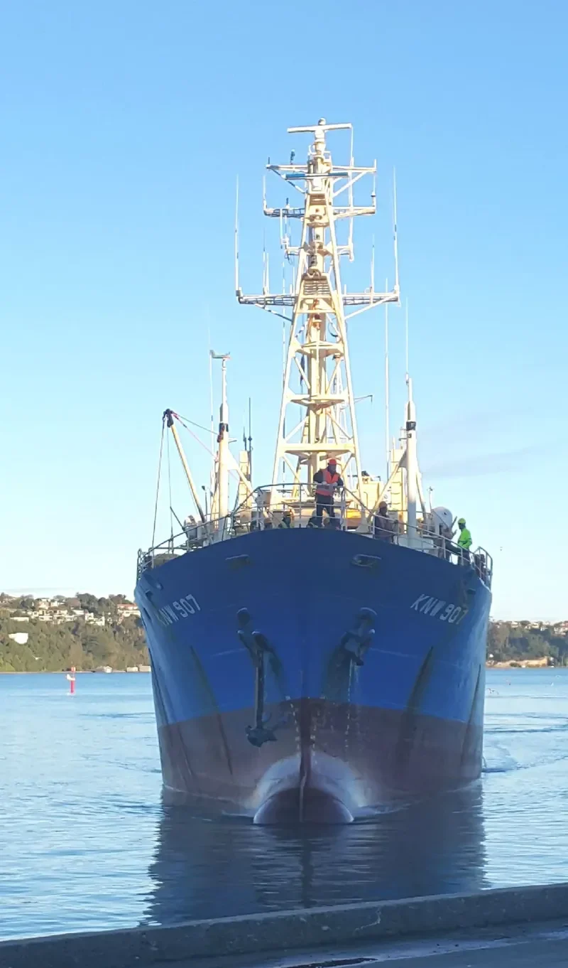 FORTUNUI General Cargo IMO 8514930 photo 3