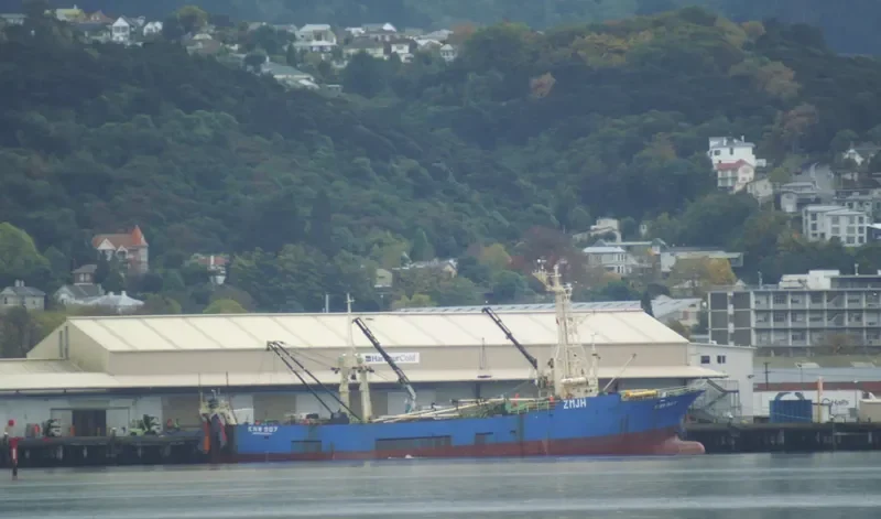 FORTUNUI General Cargo IMO 8514930 photo 6