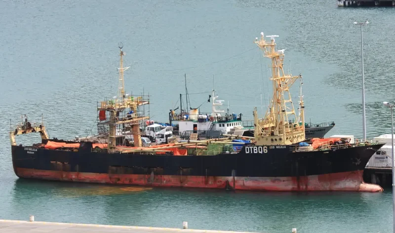 FORTUNUI General Cargo IMO 8514930 photo 10