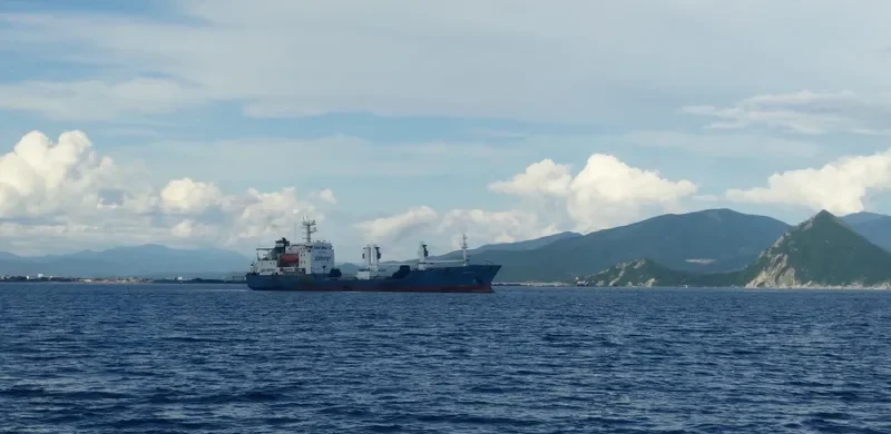 PROGRESS General Cargo IMO 8516615 photo 2