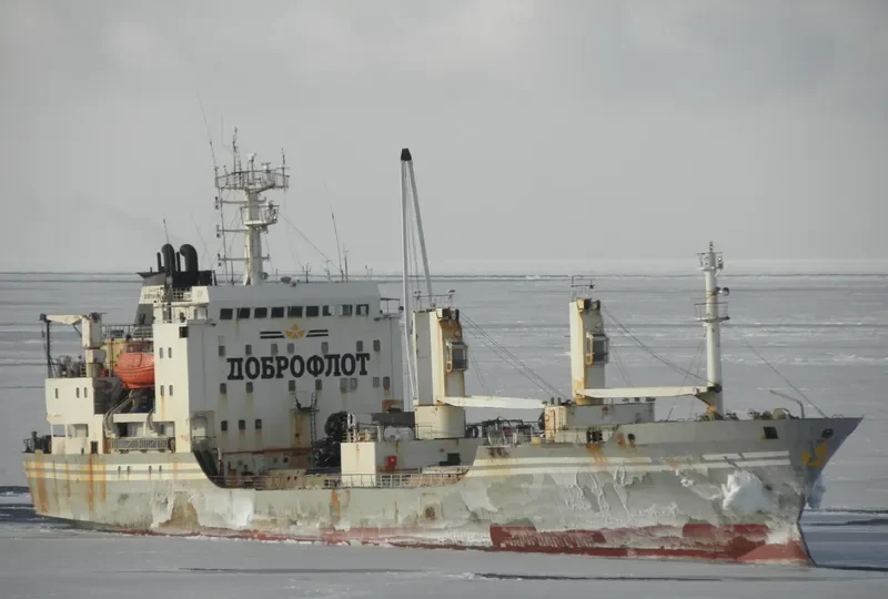 SIMFONIYA General Cargo IMO 8516627