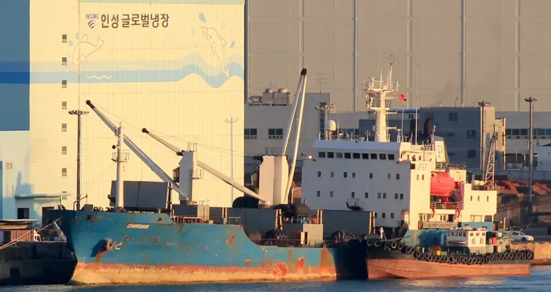 SIMFONIYA General Cargo IMO 8516627 photo 7