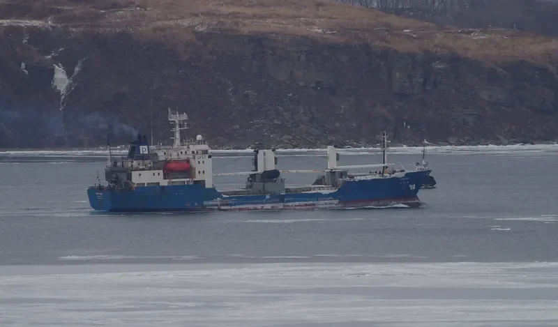 SIMFONIYA General Cargo IMO 8516627 photo 8