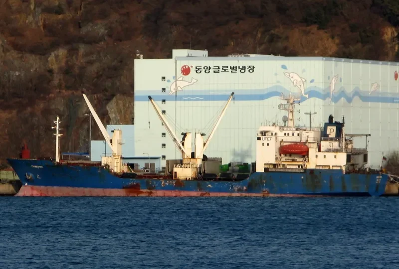 SIMFONIYA General Cargo IMO 8516627 photo 9