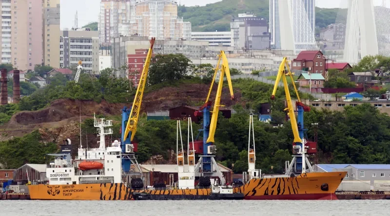 SIMFONIYA General Cargo IMO 8516627 photo 10