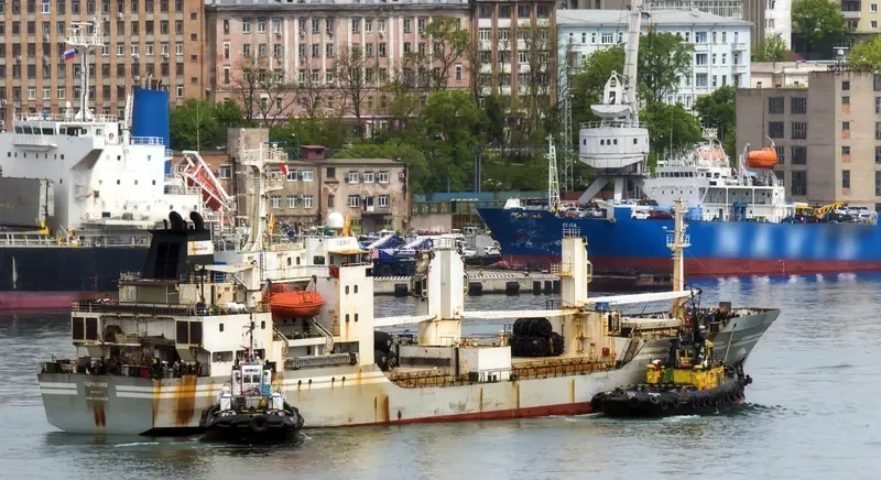 GARMONIYA General Cargo IMO 8516639
