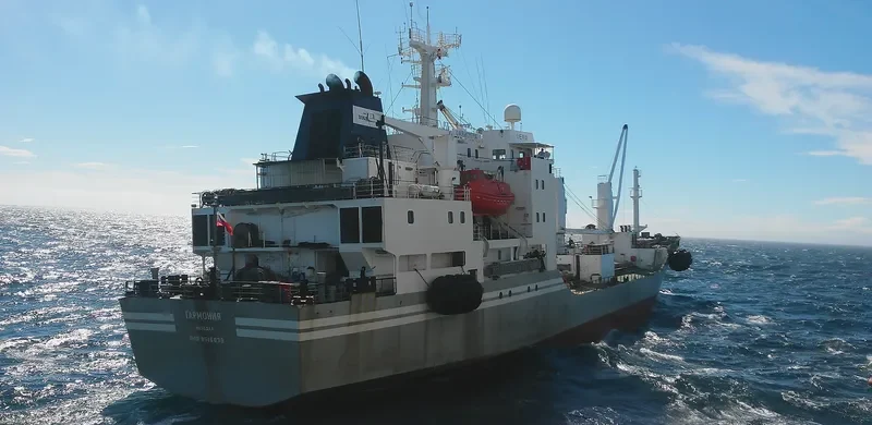 GARMONIYA General Cargo IMO 8516639 photo 2