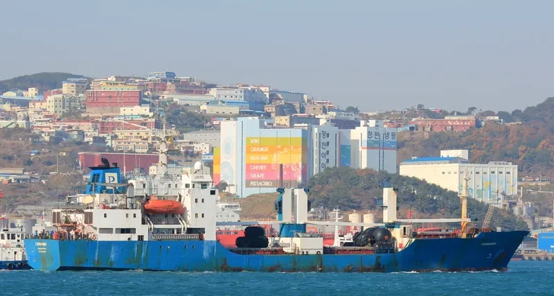 GARMONIYA General Cargo IMO 8516639 photo 7