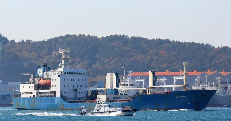 GARMONIYA General Cargo IMO 8516639 photo 8