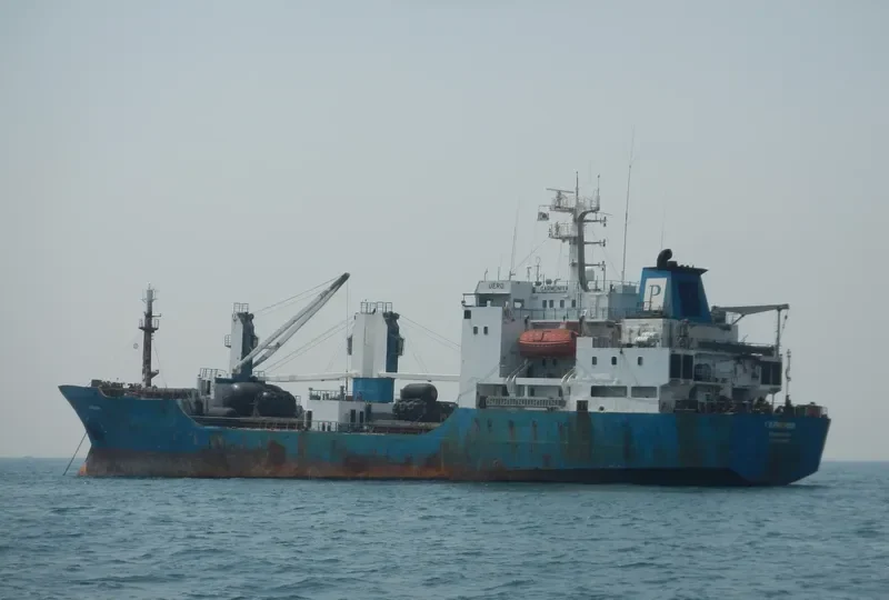 GARMONIYA General Cargo IMO 8516639 photo 9