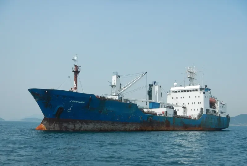 GARMONIYA General Cargo IMO 8516639 photo 10