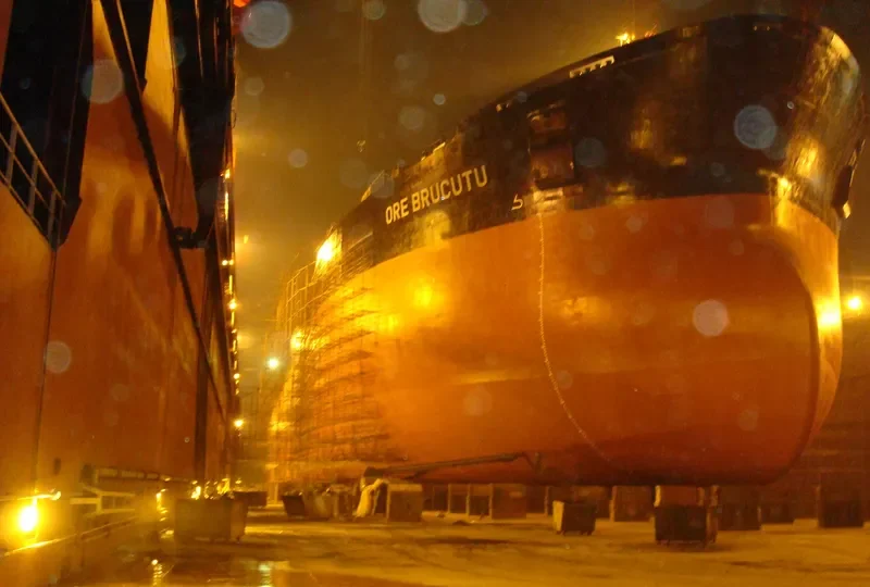 ORE BRUCUTU Bulk Carrier IMO 8516691