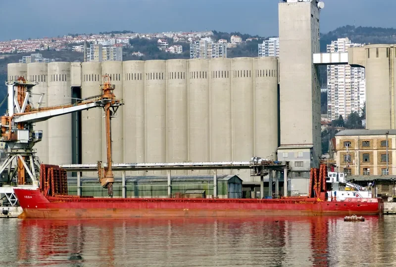 VEGA 1 General Cargo IMO 8516756 photo 4