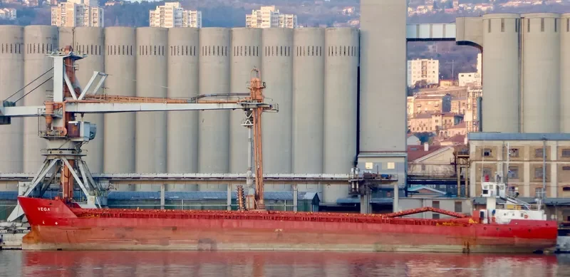 VEGA 1 General Cargo IMO 8516756 photo 5