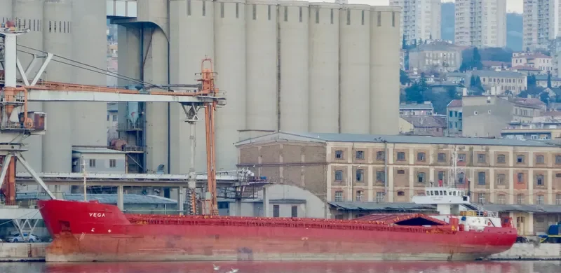 VEGA 1 General Cargo IMO 8516756 photo 6